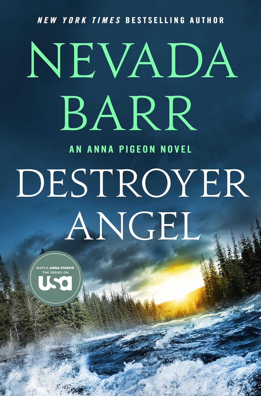 Destroyer Angel by Nevada Barr