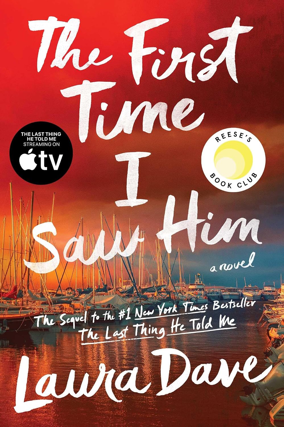 The First Time I Saw Him by Laura Dave
